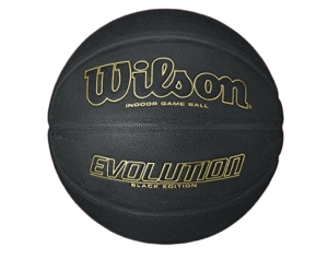 Wilson Evolution Indoor Game Ball