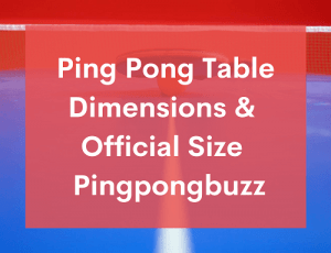 Ping Pong Table Dimensions & Official Size - PingPongBuzz