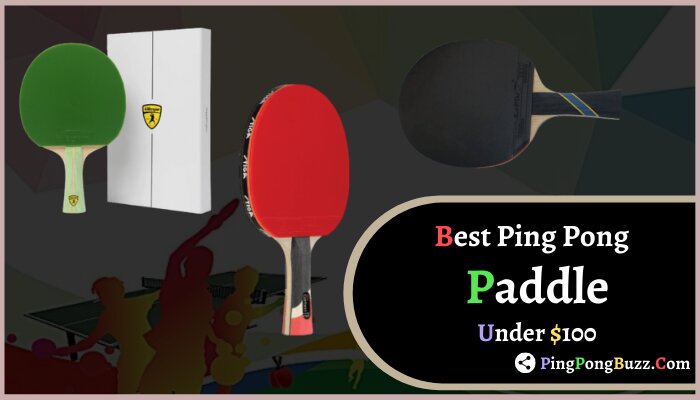 Best Ping Pong Paddle Under $100 reviews in 2021