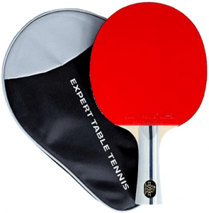 Palio Expert 3.0 Table Tennis Racket