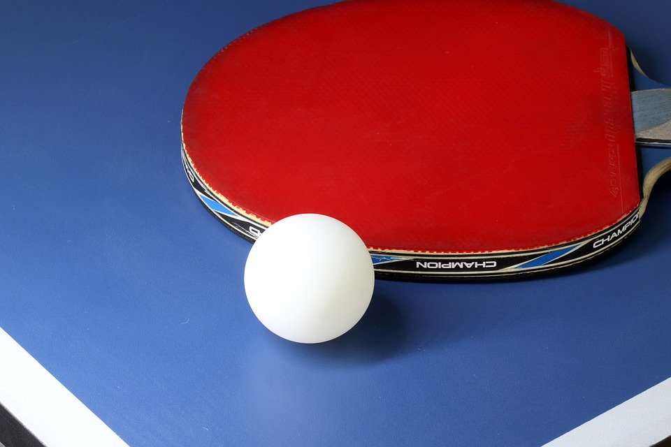 Ping Pong Paddle