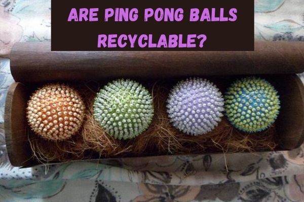 Are Ping Pong Balls Recyclable? facts you must know