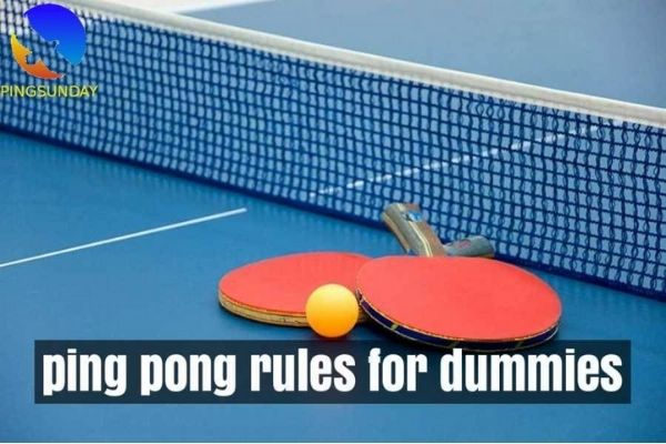  rules of ping pong