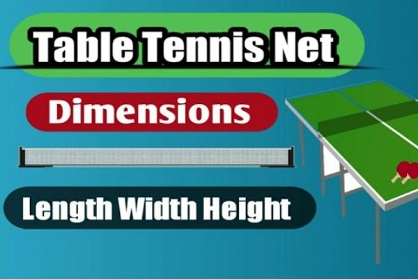  the length of the net in table tennis