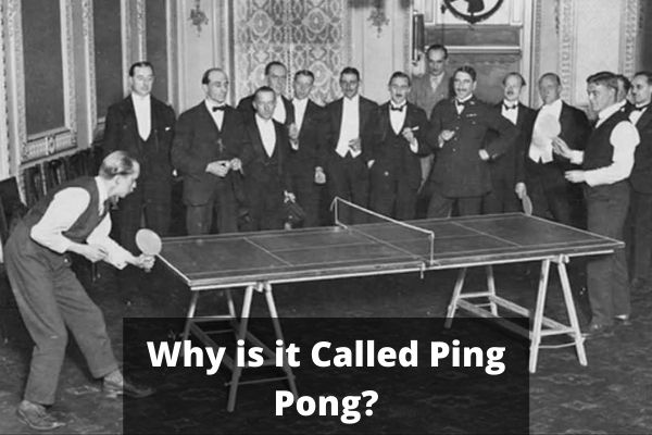 Why is it Called Ping Pong?