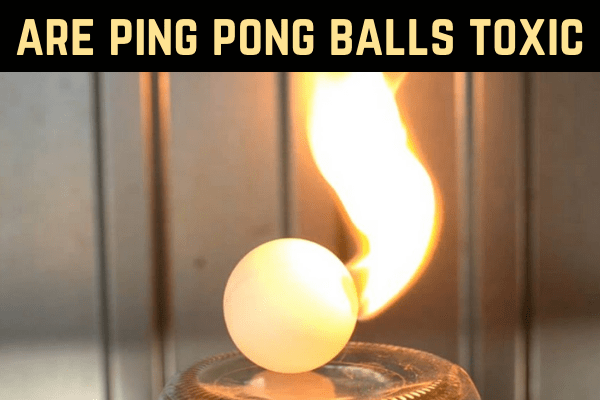 are ping pong balls toxic information and Hazards