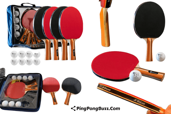 Top Best JP Winlook Ping Pong Paddle Se reviews