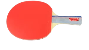 Butterfly 401 Paddle Set