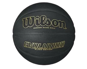 WILSON Evolution Game Basketball under $100