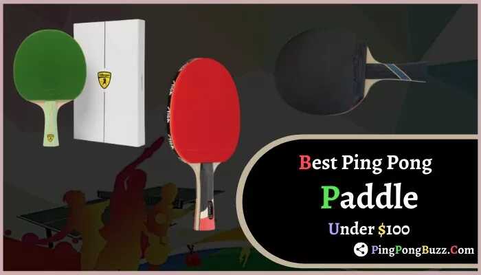 Best Ping Pong Paddle Under $100 reviews in 2021