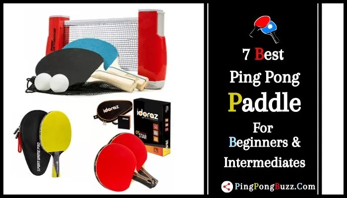 Top Best Ping Pong Paddle for Beginners starter