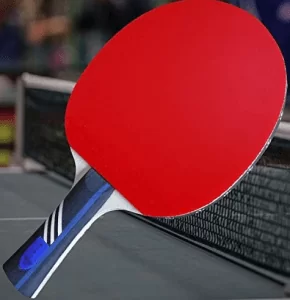 Custom Gambler Professional Ping Pong Paddle