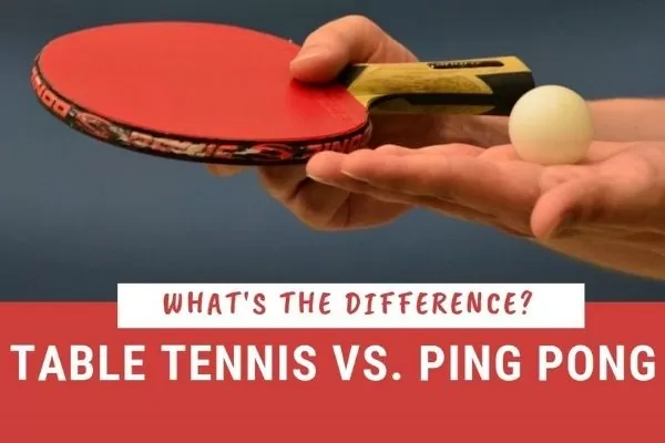  ping pong table tennis game