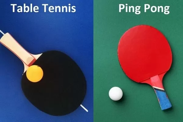  what is ping pong in table tennis