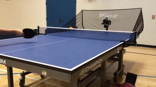 Best Wood For Ping Pong Table