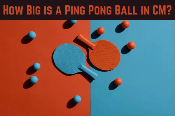 How Big is a Ping Pong Ball in CM? diameter size ultimate guide