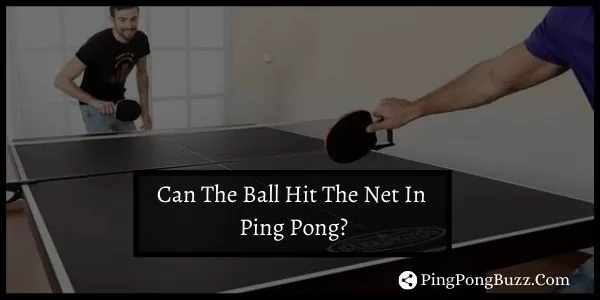 Why Ping Pong Ball Not Hit The Net In Ping Pong?