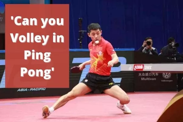 can you volley in ping pong