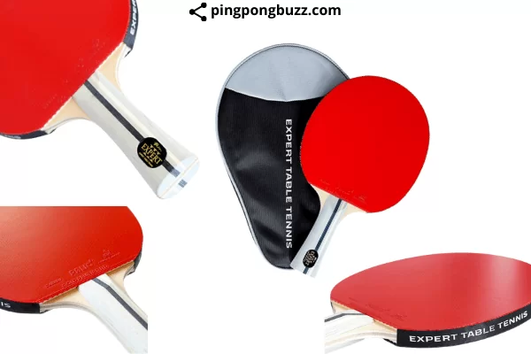 Palio Expert 3.0 Table Tennis Bat Paddle Buying guide 